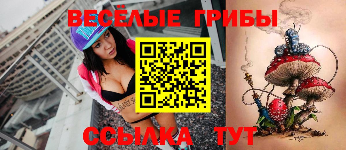 где купить наркоту  Вход с VPN  Кандалакша  Псилоцибиновые грибы прущие грибы 
