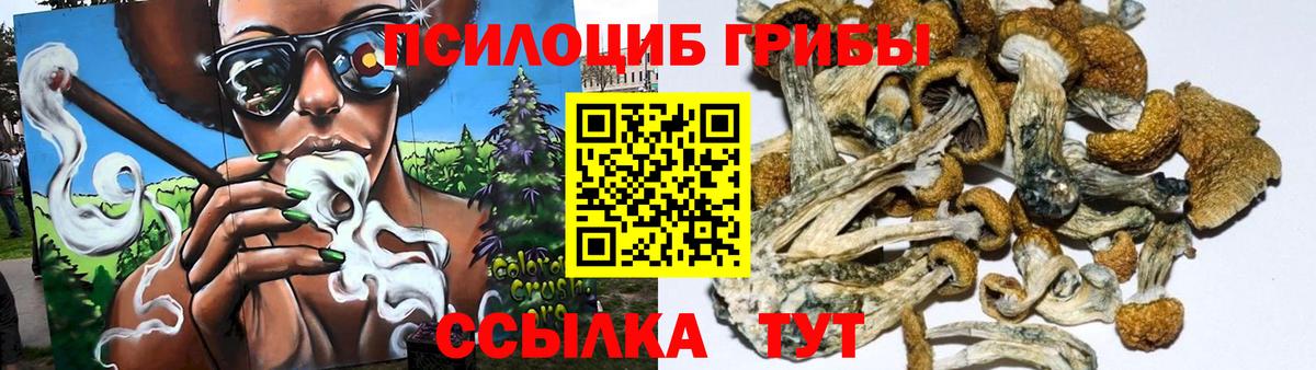 Псилоцибиновые грибы прущие грибы Кандалакша